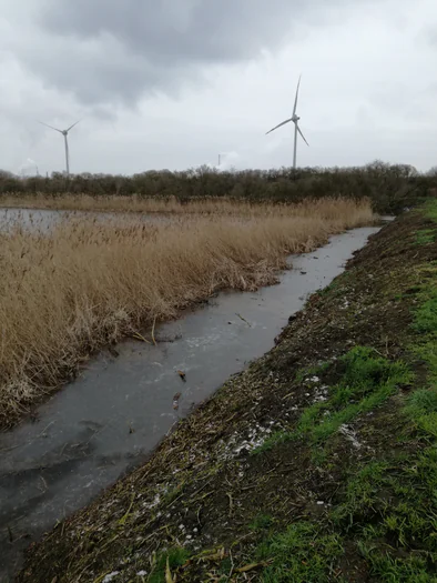 Plains of Zwijndrecht, Antwerp (Belgium)